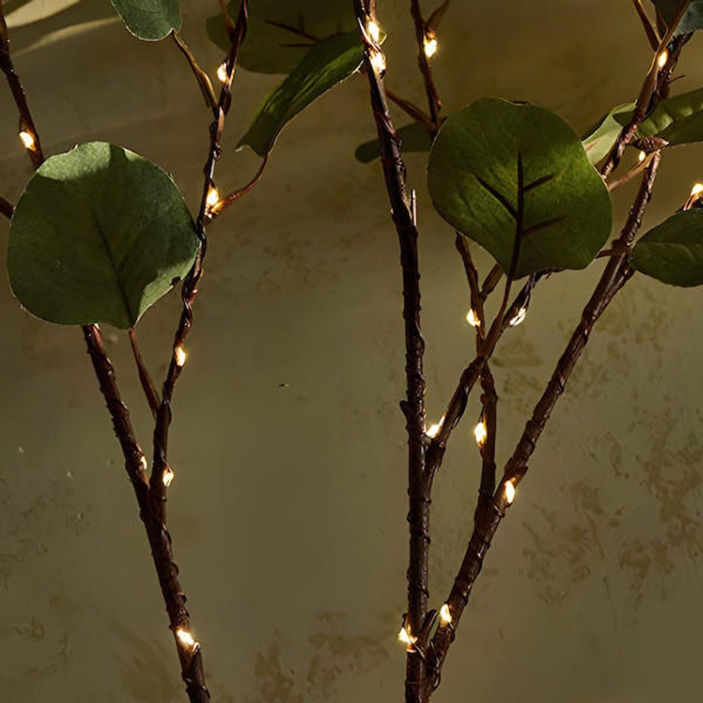 Fairy lights with olive branch for a magical and natural atmosphere