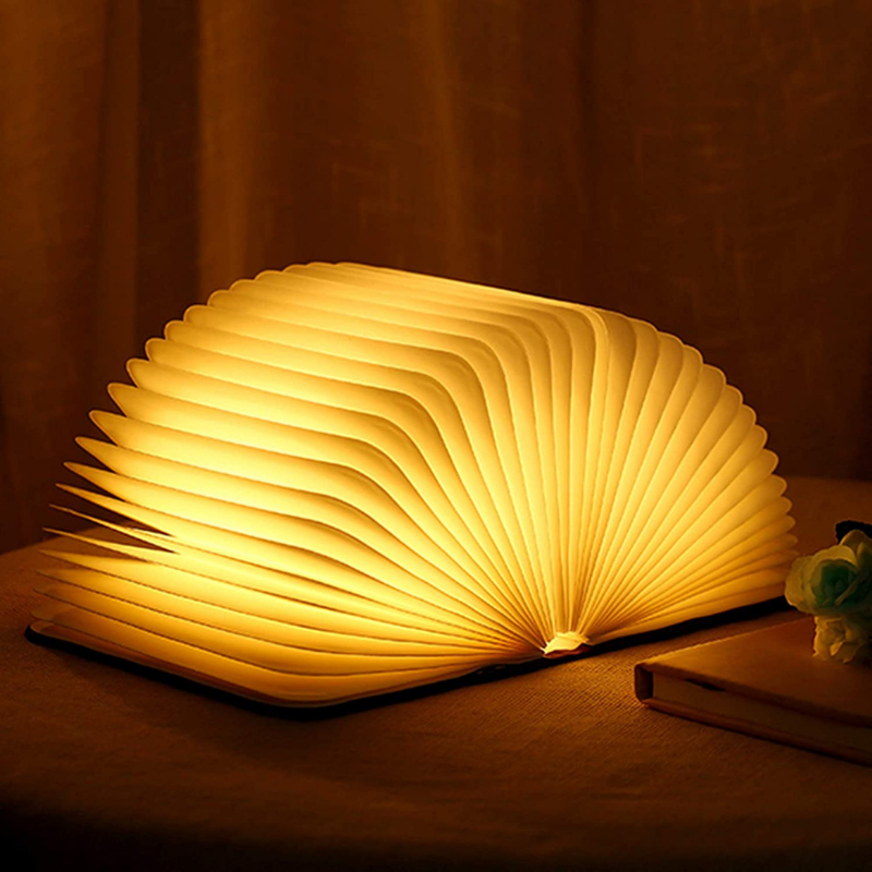 Enchanted Book Lamp for Magical Lighting